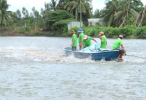 FARMING CENTER 1 - VINH LONG, ACHIEVED 2016 PLAN. FARMING CENTER 1 - VINH LONG, ACHIEVED 2016 PLAN.