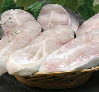 Pangasius FISH PRODUCTS
