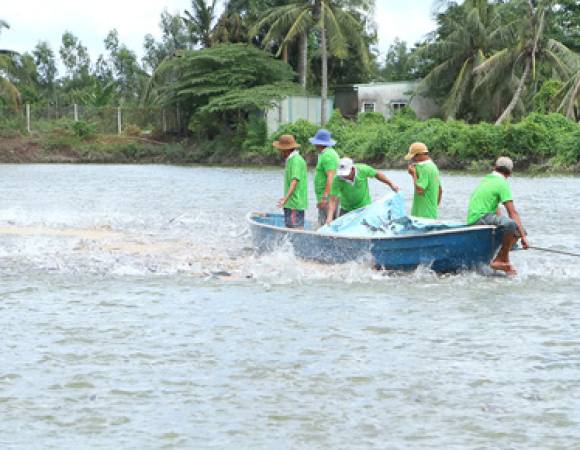 FARMING CENTER 1 - VINH LONG, ACHIEVED 2016 PLAN. FARMING CENTER 1 - VINH LONG, ACHIEVED 2016 PLAN.