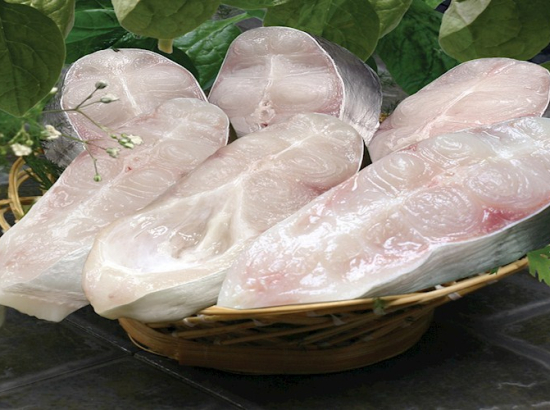 CUT CUTTED PANASONIC FISH