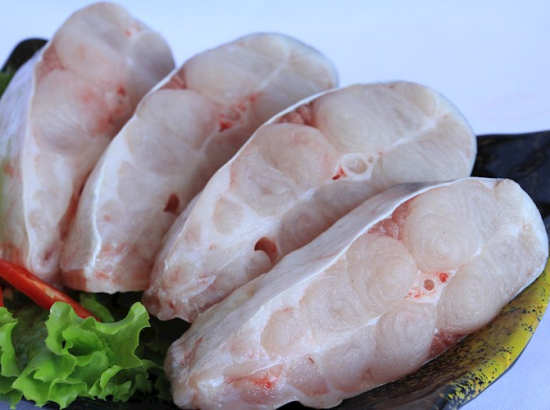 CUT CUTTED PANASONIC FISH