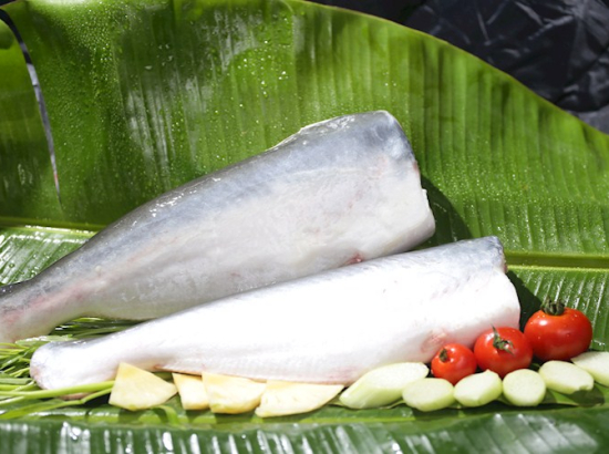 WHOLE PANGASIUS FISH WITHOUT HEAD