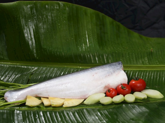WHOLE PANGASIUS FISH WITHOUT HEAD