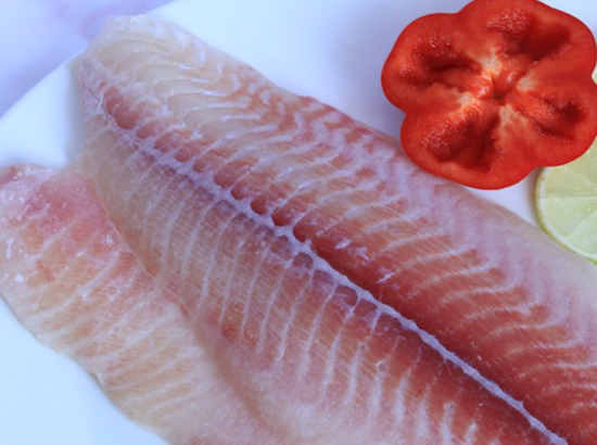 Pangasius FILLET UNFORMED