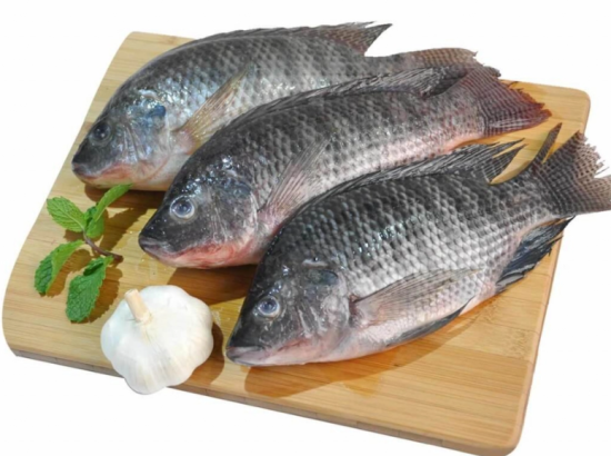 WHOLE TILAPIA