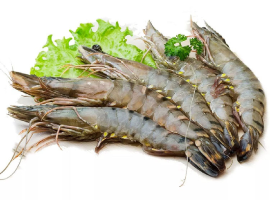 WHOLE TIGER SHRIMP